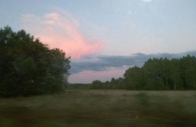 Les Calicots Sanguinet - Foto 12