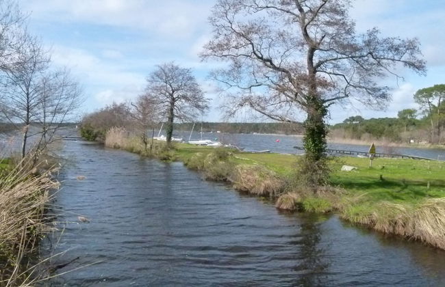 Les Calicots Sanguinet - Foto 34