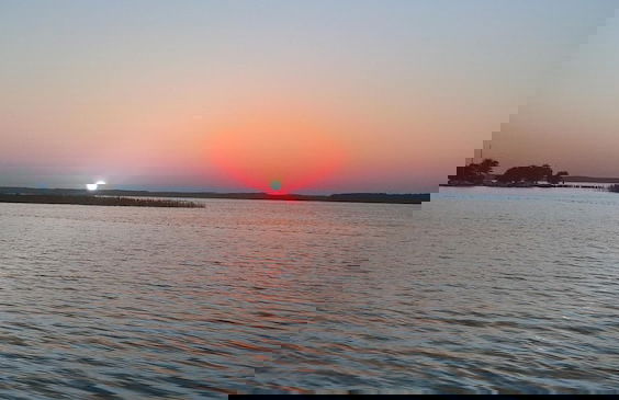 Les Calicots Sanguinet - Foto 64