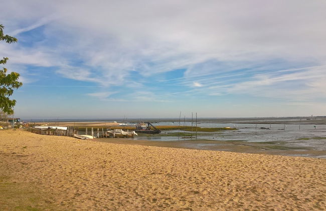 Les Calicots Sanguinet - Foto 18