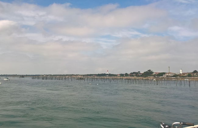 Les Calicots Sanguinet - Foto 14