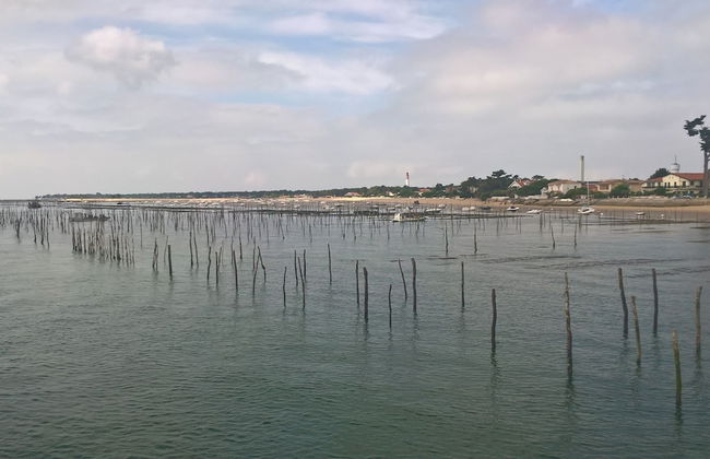 Les Calicots Sanguinet - Foto 20