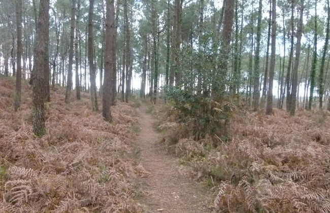 Les Calicots Sanguinet - Foto 41