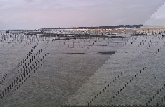 Les Calicots Sanguinet - Foto 25