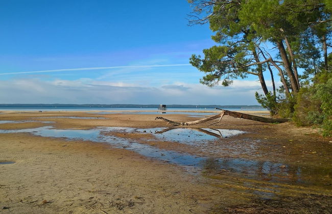 Les Calicots Sanguinet - Foto 63