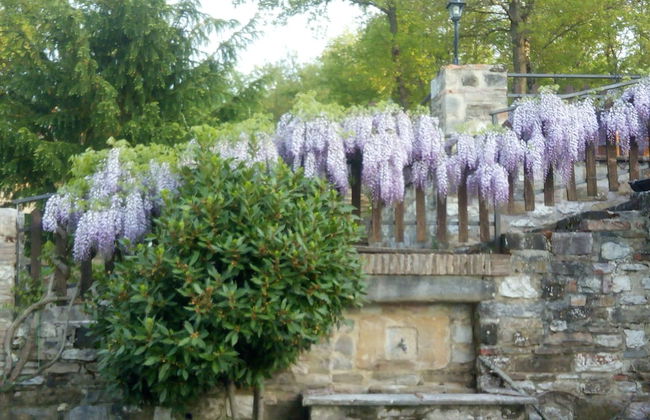 Agriturismo Le Giare - Country House - Foto 39
