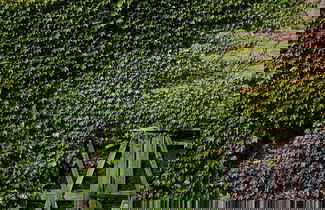 Photo 44 - Agriturismo La Topaia