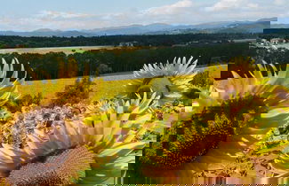 Photo 32 - Agriturismo La Topaia