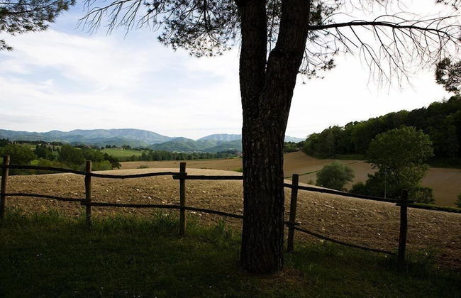 Agriturismo La Topaia - Foto 31
