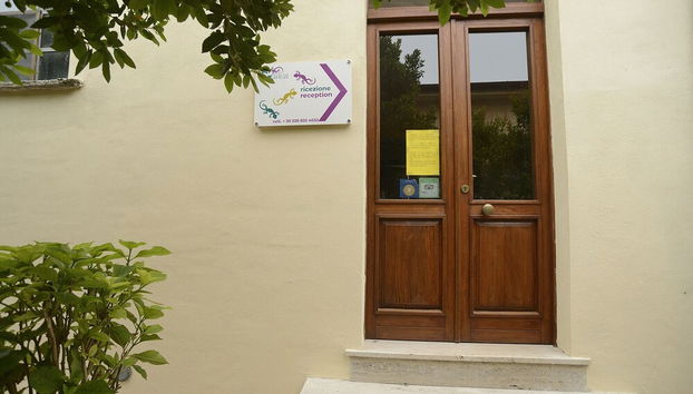 Rezeption