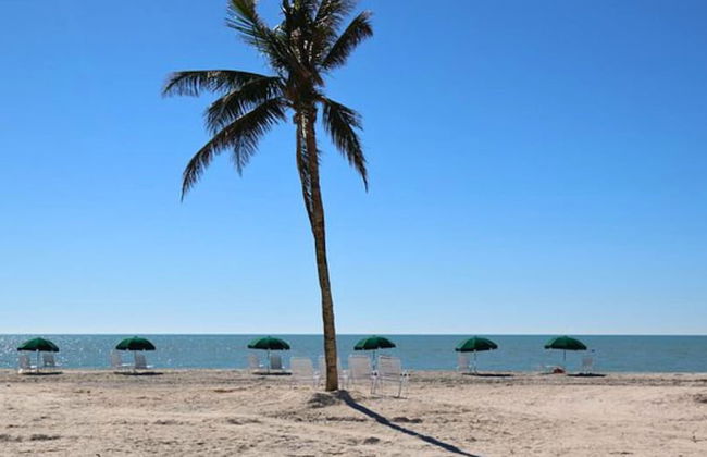 Island Inn - Foto 1