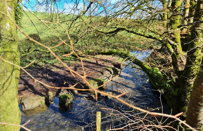 2-bed Cottage, Sleeps 5, Pets Ok, Close to Coast - Foto 12