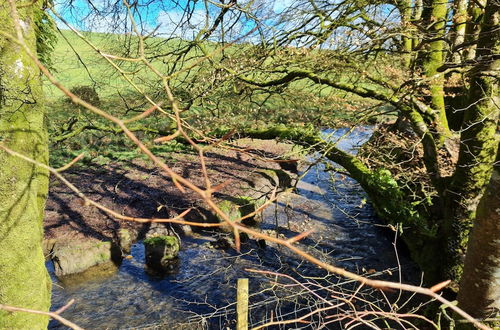 Photo 43 - Beautiful Peaceful Property Great for Wildlife