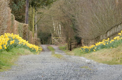 Photo 33 - Alltybrain Farm Cottages and B&B