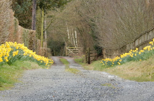 Photo 31 - Alltybrain Farm Cottages and B&B