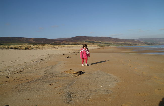 The Old Croft - Photo 14