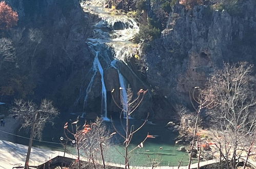 Photo 76 - Cedarvale Cabins at Turner Falls