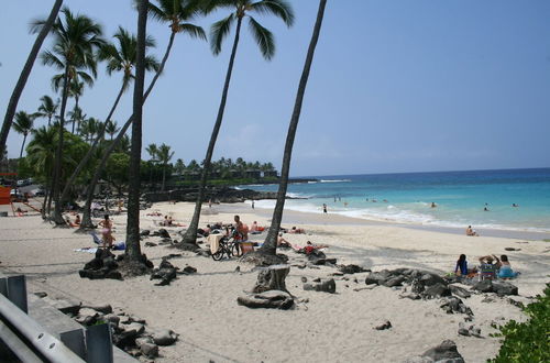 Photo 17 - Hale Honu-oceanfront 4 Bedroom Home by RedAwning