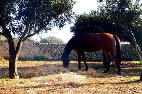 Photo 31 - Masseria Costarella