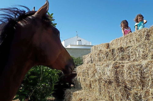 Foto 30 - Masseria Costarella