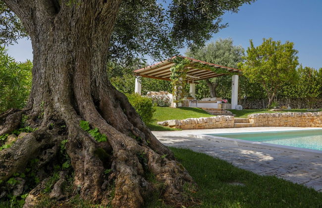 TD Dimora di Genna Trulletto with Lush Garden Pool - Photo 23