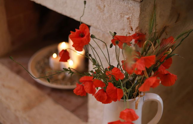 TD Dimora di Genna Trulletto with Lush Garden Pool - Photo 20