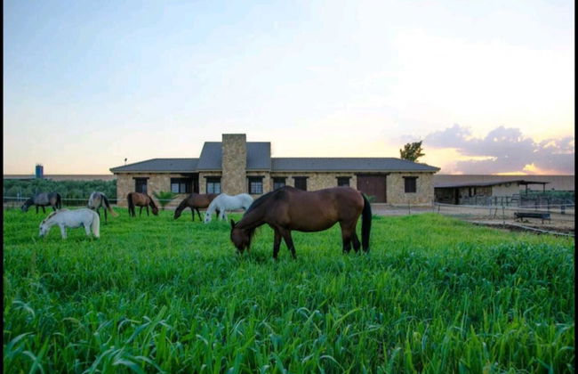 Casa Rural Ecuestre - Foto 1