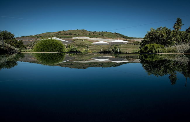 Quinta do Vallado - Foto 59