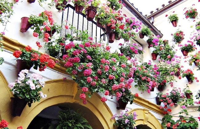 Casa en Marbella - Foto 32