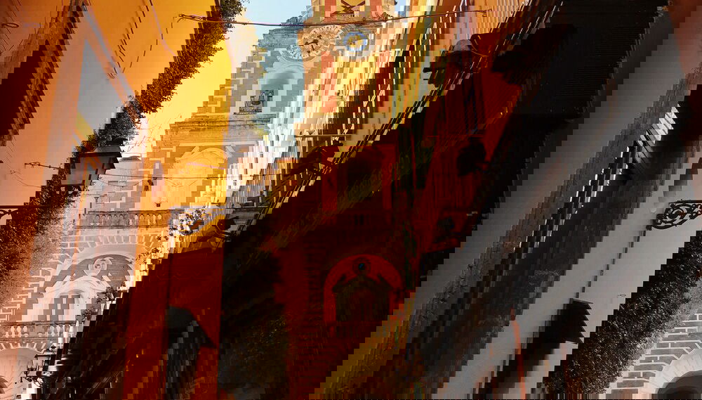 Image principale