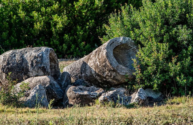 Agriturismo Carrucana - Foto 10