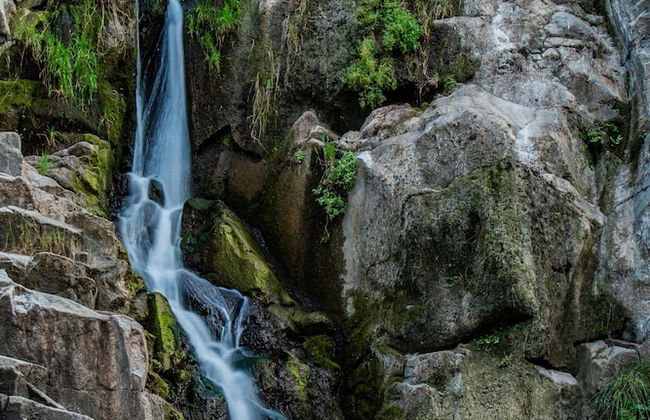 Agriturismo Carrucana - Foto 11