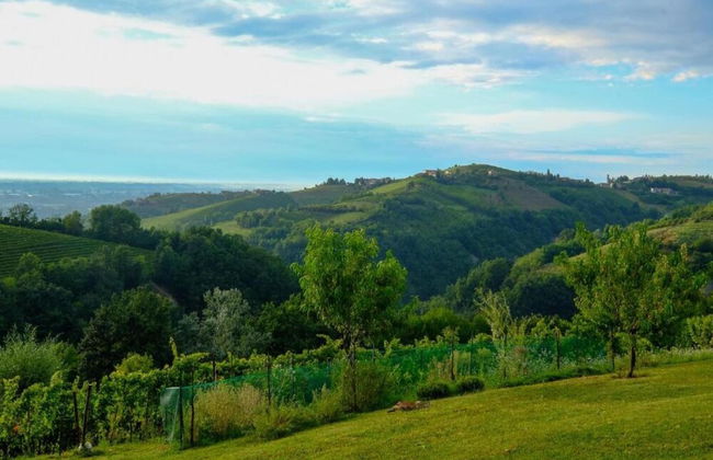 Mansion in Langhe With Pool and Winery Charm - Foto 40