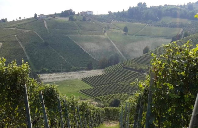 Mansion in Langhe Hills With Pool - Foto 33