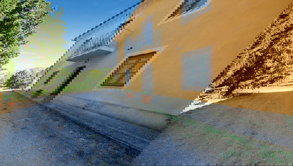 Imagem principal