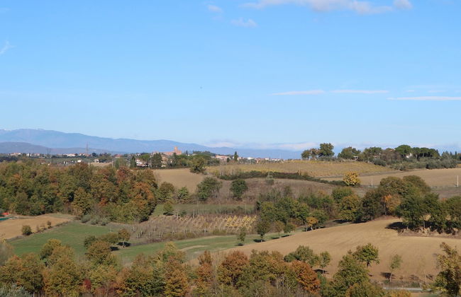 Home, Foiano Della Chiana - Foto 35