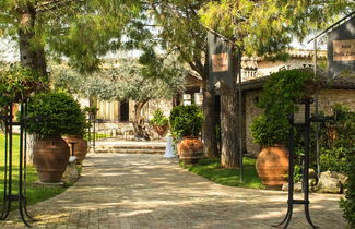 Photo 2 - Tenuta Querce Grosse