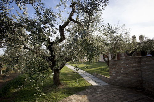 Photo 5 - Tenuta Querce Grosse