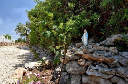 Foto 40 - Masseria Pitanni