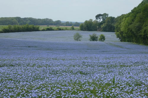 Foto 11 - La Tour de Lierre 3