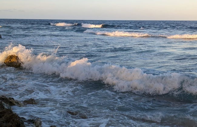 Bombua Beach House - Photo 38