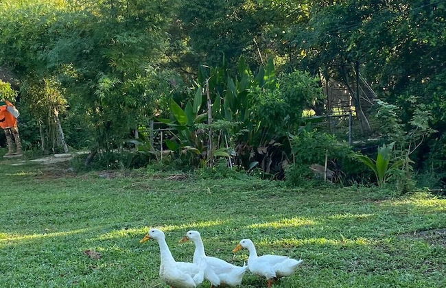 HangTueng Farmstay Chiang Mai - Photo 64