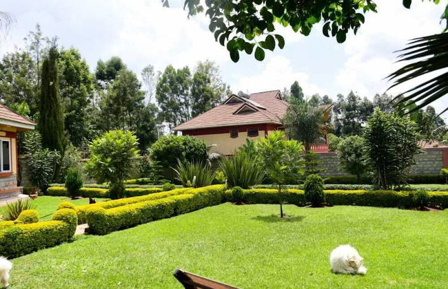 Lux Suites Elgon view Holiday House - Photo 7