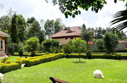 Photo 7 - Lux Suites Elgon view Holiday House