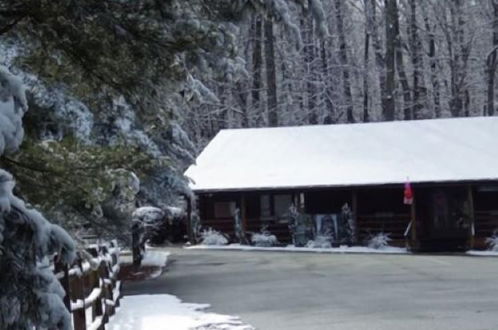 Photo 2 - Wilderness Presidential Resort Cabins