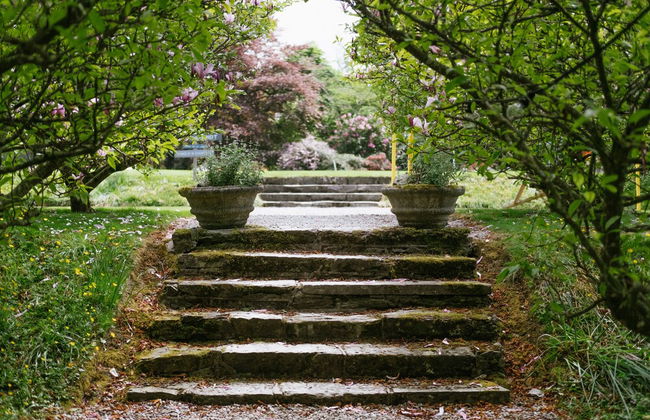 Ballyvolane House - Foto 58
