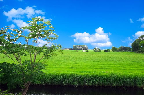 Photo 10 - 6 Pers. Holiday Home With a Large Garden Close to the Lauwersmeer