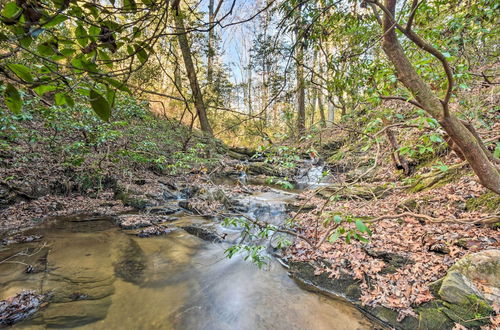 Photo 2 - Jasper '7 Timbers' Cabin on 10 Acres w/ a Creek