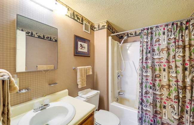 Sugar Mountain Vacation Rental ~ 3 Mi to Resort - Foto 16