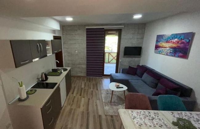 Casa Mia Vrdnik - Foto 13